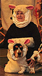 judy sheep